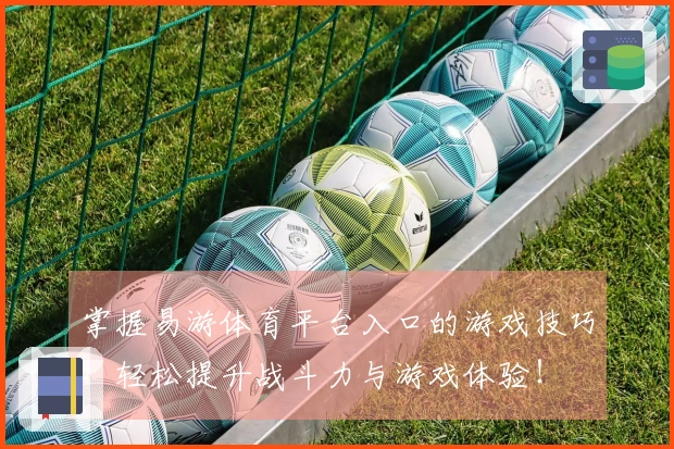 掌握易游体育平台入口的游戏技巧，轻松提升战斗力与游戏体验！