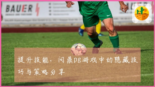 提升技能，问鼎pg游戏中的隐藏技巧与策略分享